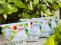 -天津海河华北乳品有限公司