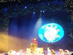 -厦门方特梦幻王国