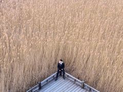 -野鸭湖国家湿地公园