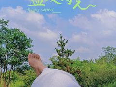 -东海森林温泉度假酒店