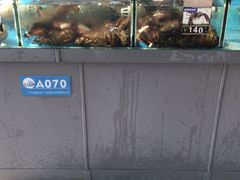 -清水湾3号(东方小周海鲜店)