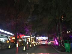 -枫花园汽车电影院(朝阳公园店)