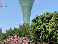 -狐尾山公园