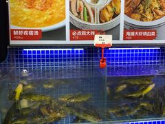 -必点海鲜·鲅鱼水饺(鞍山西道店)