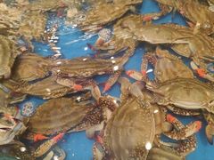-川骄海鲜自助(河东店)