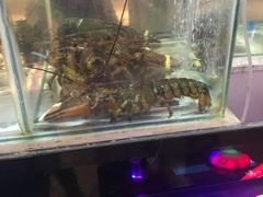 -爱玩嘉年华(成都北城天街店)