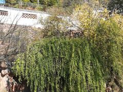 -东坡赤壁风景名胜区