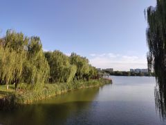 -大兴滨河森林公园