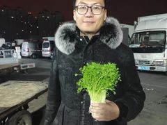 -何庄子阿米玛玛农产品批发市场
