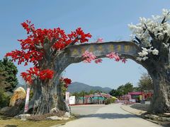 -天适樱花悠乐园