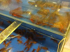 -虾弄弄海派小龙虾·牛羊蝎子火锅