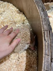 -Zoolung Zoolung动物主题公园(海信广场店)