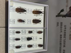 -烟台市博物馆
