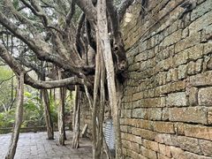 -东山风动石景区