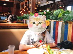 -Pancakes on the rocks(Darling Harbour)