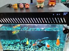 -海子口鲜牛馆(招商兰溪谷店)