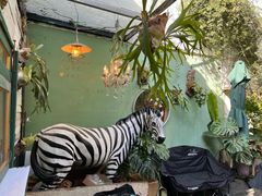 -大水的店(昙华林店)