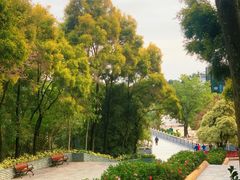 -深圳国际园林花卉博览园