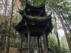 -凤栖山