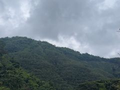 -西双版纳原始森林公园