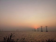 -宝安西湾红树林湿地公园