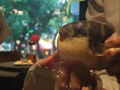 -肆月河豚·淮扬菜·湘菜(华天店)