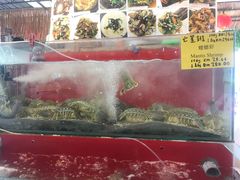 -大树下海鲜饭店