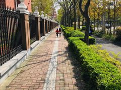 -新江湾城公园