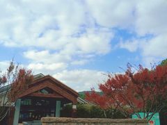 -苏州环秀晓筑养生度假村