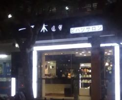 201109162053-一丁木造型