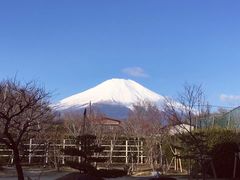 -富士山吉田線五合目