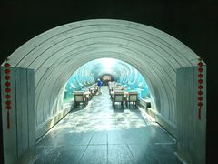 -海棠湾洲际-涛·海底餐厅·美人鱼·自助餐·海底隧道