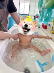 -贝贝熊(无锡长江绿岛店)