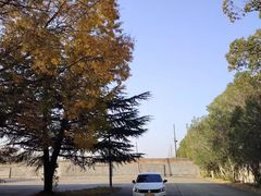 -胜华驾校·小猫学车(银都店)