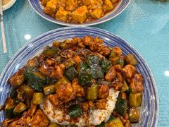 -金驼源•丝路美食(科荟路店)