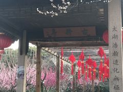 -雨花胜境