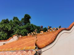 -东寨港红树林旅游区