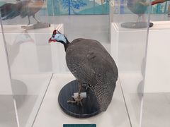 -陕西科学技术馆