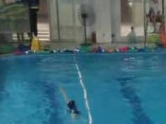 -小海豚国际游泳培训中心(浦东塘桥店)