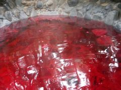 android_upload_pic-金方森林温泉