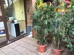 -派联宠物医院·24h·CT·异宠