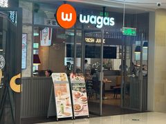 -Wagas沃歌斯(汇智店)