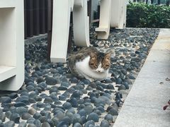 -重庆彩云湖湿地公园