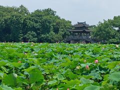 -西湖文化广场