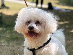 -杭州城北体育公园