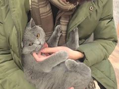 -袖虎·猫馆(体育西路店)
