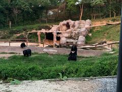 -清迈夜间动物园