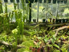 -国家植物园南园