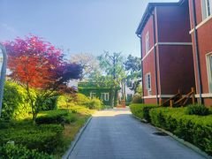 -八大关景区