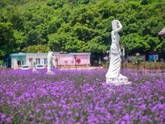 -玫瑰海岸文化旅游度假区